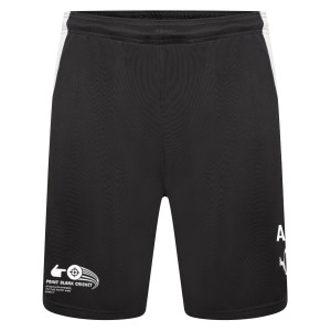 Puma teamLIGA Short