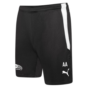 Puma teamLIGA Short