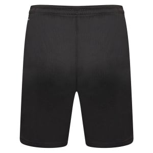 Puma teamLIGA Short