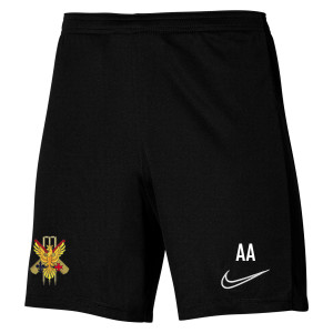 Nike Dri-Fit Academy 23 Short