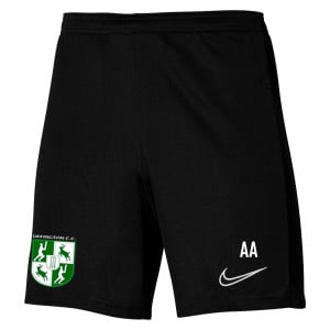 Nike Dri-Fit Academy 23 Short