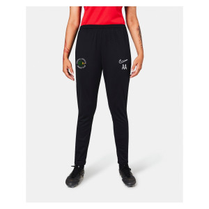 Nike Womens Dri-Fit Academy 23 Pant (W)