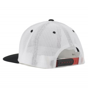 PAYNTR Tour X - Flex Fit Cap