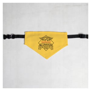 Pet Bandana with Black Collar