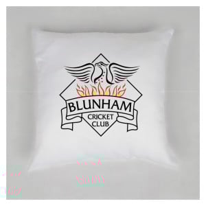 Cushion