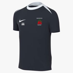 Nike Academy Pro 24 Dri-FIT Short Sleeve Top