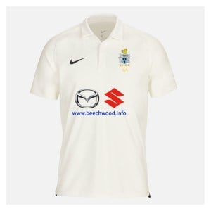 Zelus-Nike Cricket Short Sleeve Game Polo - Sail/Obsidian