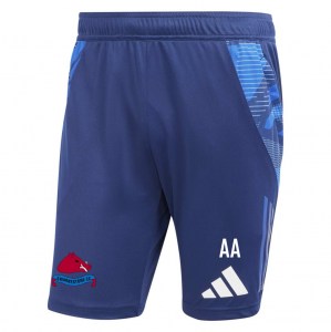 adidas Tiro 24 Competition Training Shorts - Team navy blue/team royal blue/white