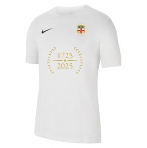 Nike Park 20 T-Shirt - White/Black