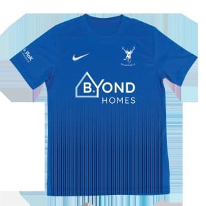 Nike Park VII Dri-FIT Short Sleeve Shirt - Royal Blue/White