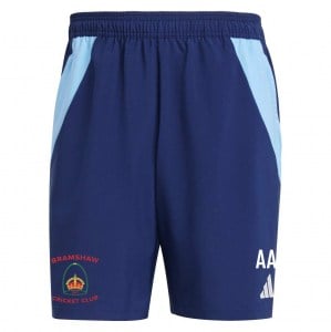 adidas Tiro 24 Competition Downtime Shorts - Team navy blue/team royal blue/white