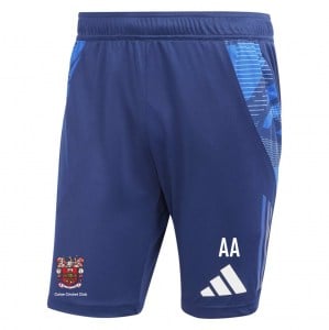 adidas Tiro 24 Competition Training Shorts - Team navy blue/team royal blue/white