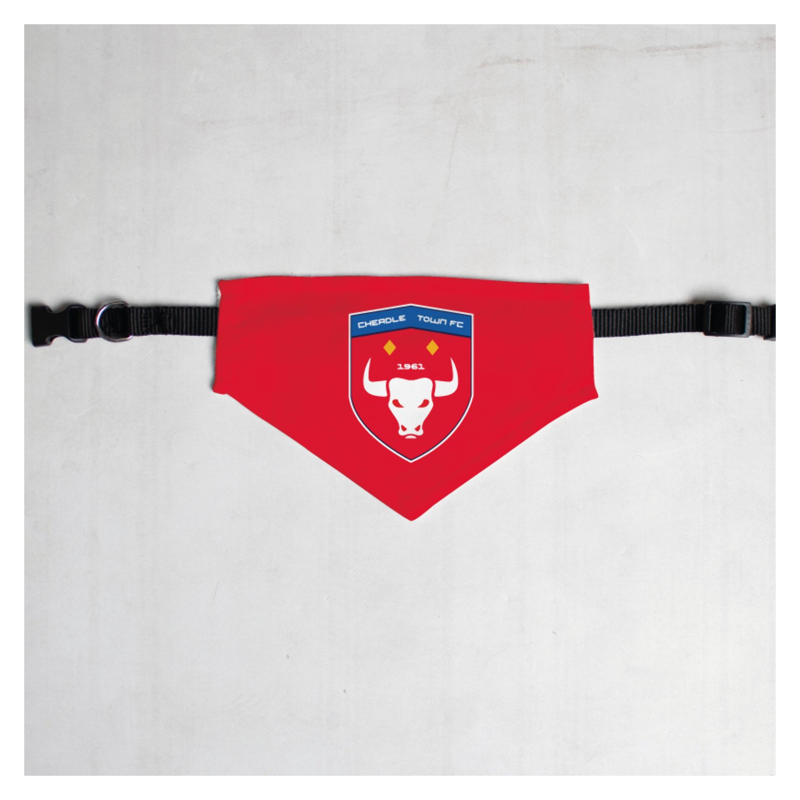 Pet Bandana with Black Collar