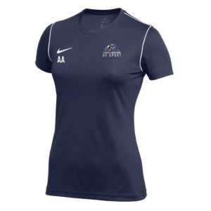 Nike Womens Dri-FIT Park 20 Short Sleeve Top (W)