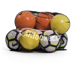 Branded Mesh Ball Carry Net