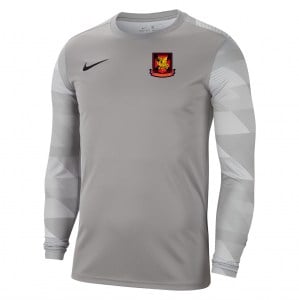 Nike Park IV Goalkeeper Dri-FIT Jersey Pewter Grey-White-Black