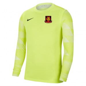 Nike Park IV Goalkeeper Dri-FIT Jersey Volt-White-Black