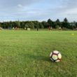 A wide shot of a football training session