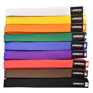 Urban Fight Martial Arts Belt - Brown