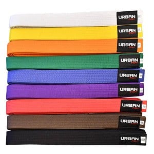 Urban Fight Martial Arts Belt - Orange