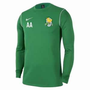 Nike Dri-FIT Park 20 Crew Top Pine Green-White-White