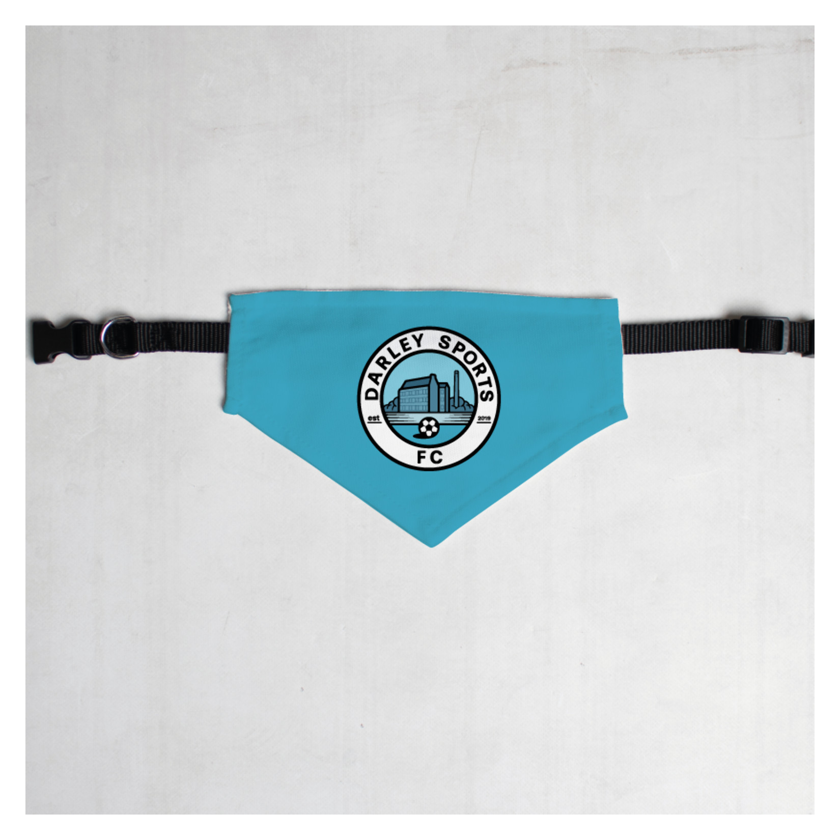 Pet Bandana with Black Collar