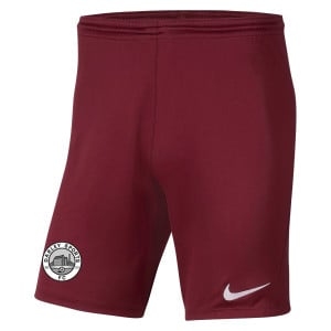Nike Park III Shorts