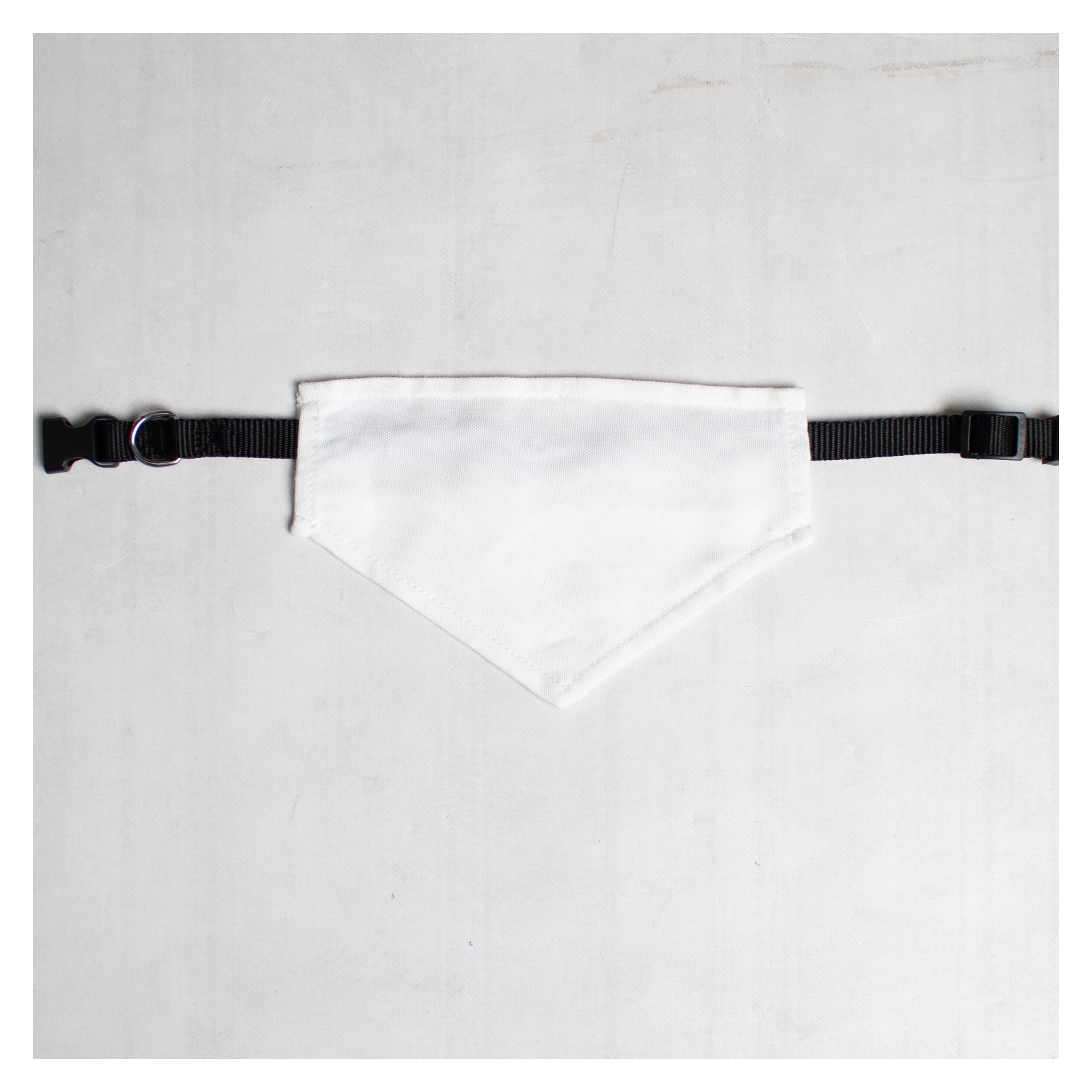 Pet Bandana with Black Collar