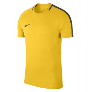Nike Academy 18 Short Sleeve Top (m) Tour Yellow-Anthracite-Black