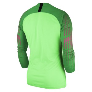 Nike Gardien Long Sleeve Goalkeeper Shirt