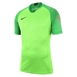 Nike Gardien Short Sleeve Goalkeeper Shirt Green Strike-Green Spark-Black