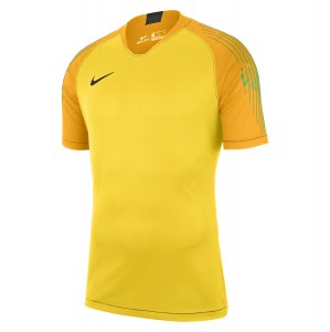 Nike Gardien Short Sleeve Goalkeeper Shirt