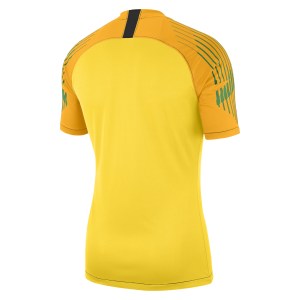Nike Gardien Short Sleeve Goalkeeper Shirt