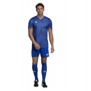 Adidas Tiro 19 Short Sleeve Shirt Bold Blue-White