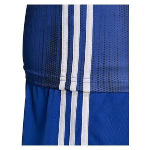 Adidas Tiro 19 Short Sleeve Shirt Bold Blue-White