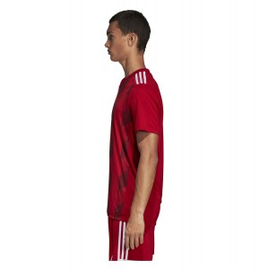Adidas Striped 19 Short Sleeve Shirt Power Red-White