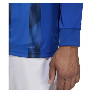 Adidas Striped 19 Long Sleeve Football Shirt