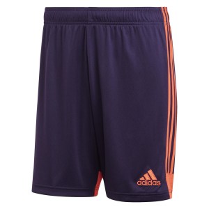 Adidas Tastigo 19 Shorts Legend Purple-True Orange