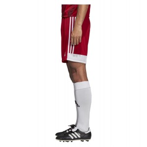 Adidas Tastigo 19 Shorts Power Red-White