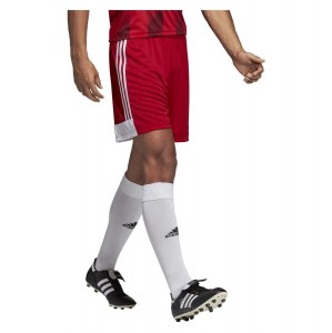 Adidas Tastigo 19 Shorts Power Red-White