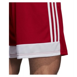 Adidas Tastigo 19 Shorts Power Red-White