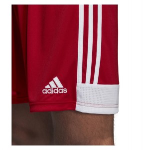 Adidas Tastigo 19 Shorts Power Red-White