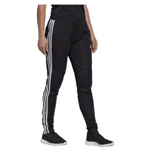 Adidas Tiro 19 Training Pant