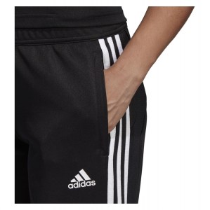 Adidas Tiro 19 Training Pant