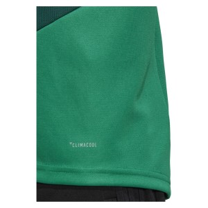 Adidas Tiro 19 Training Top Bold Green-White