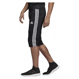 Adidas Tiro 19 3/4 Pant