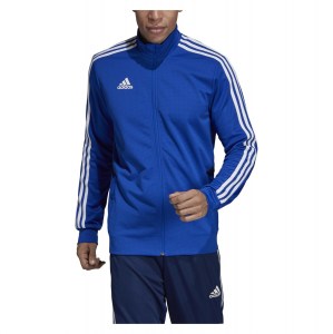 Adidas Tiro 19 Training Jacket Bold Blue-Dark Blue-White