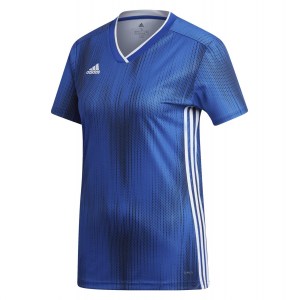 Adidas Womens Tiro 19 Jersey (w) Bold Blue-White