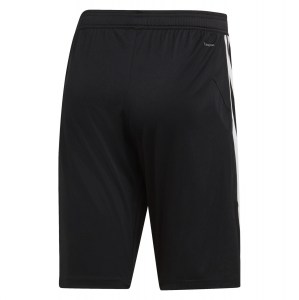 Adidas Tiro 19 Training Shorts