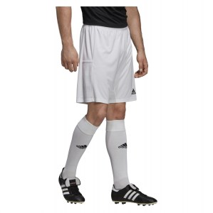 Adidas Team 19 Knit Short White